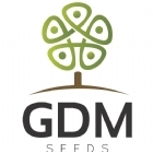 GDM Seeds