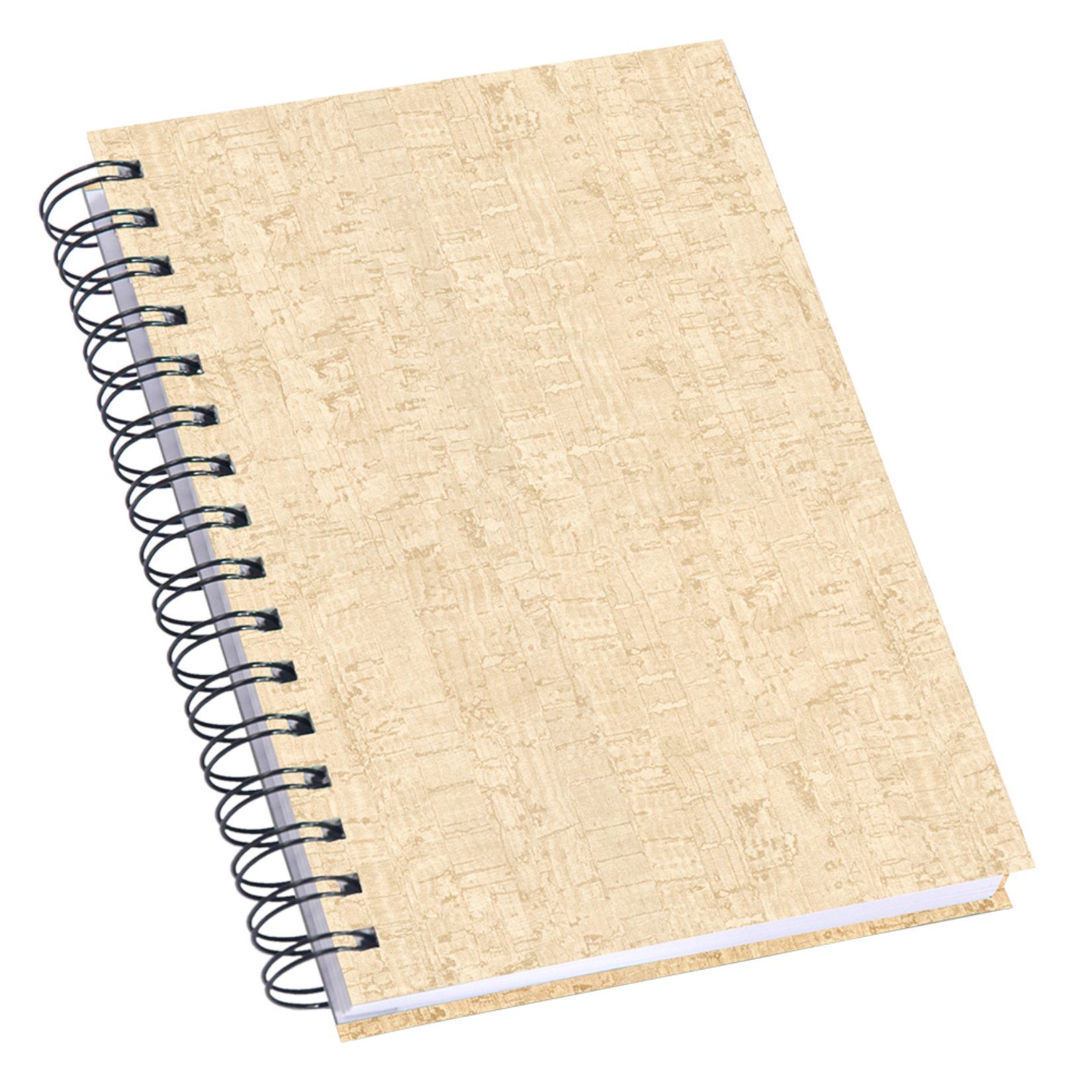 Caderno de Anotações SAARA JUNIOR